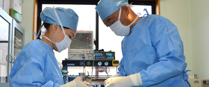 最新設備の整った手術室　奈良部動物病院